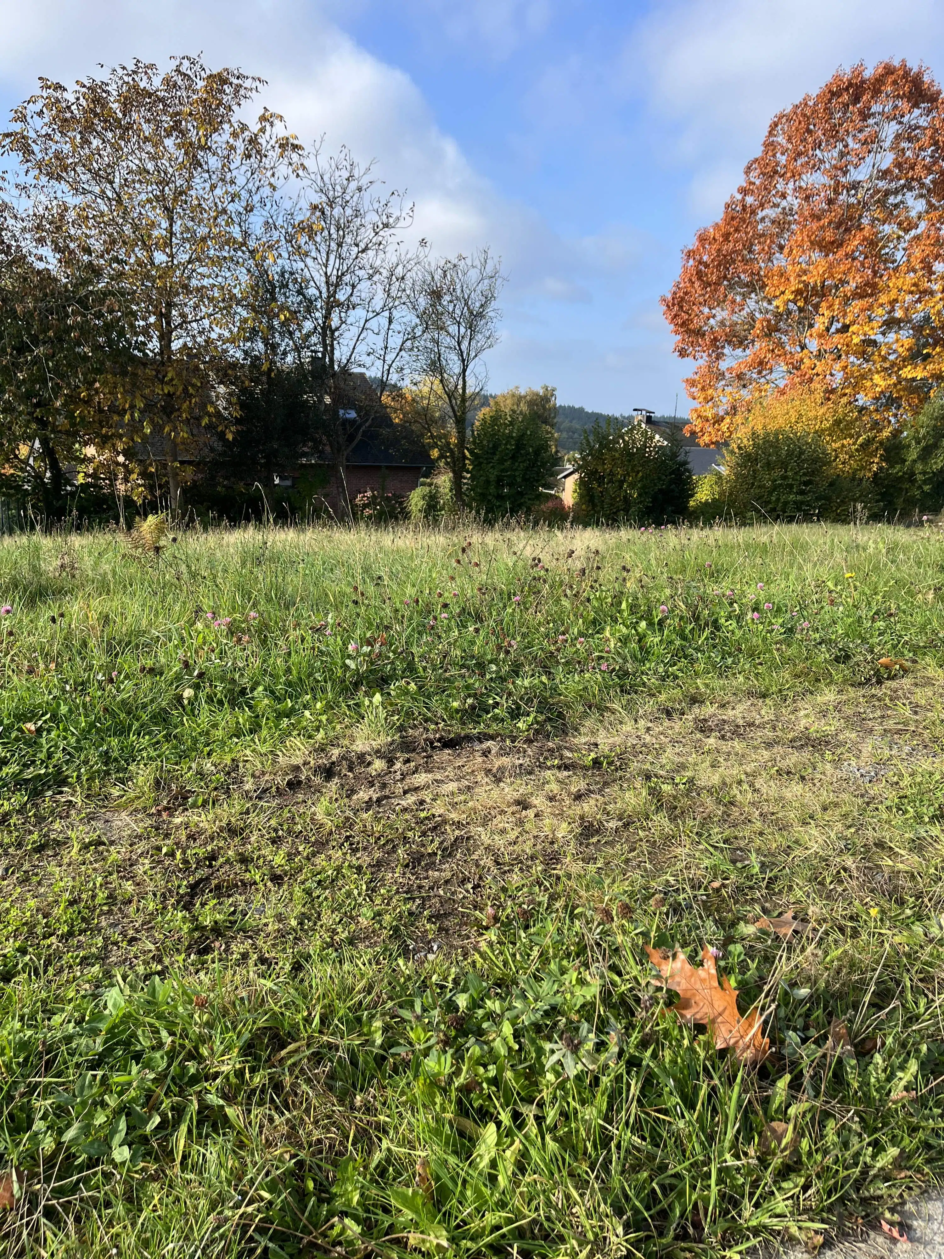 Uniek perceel bouwgrond te koop te Vesqueville foto 4