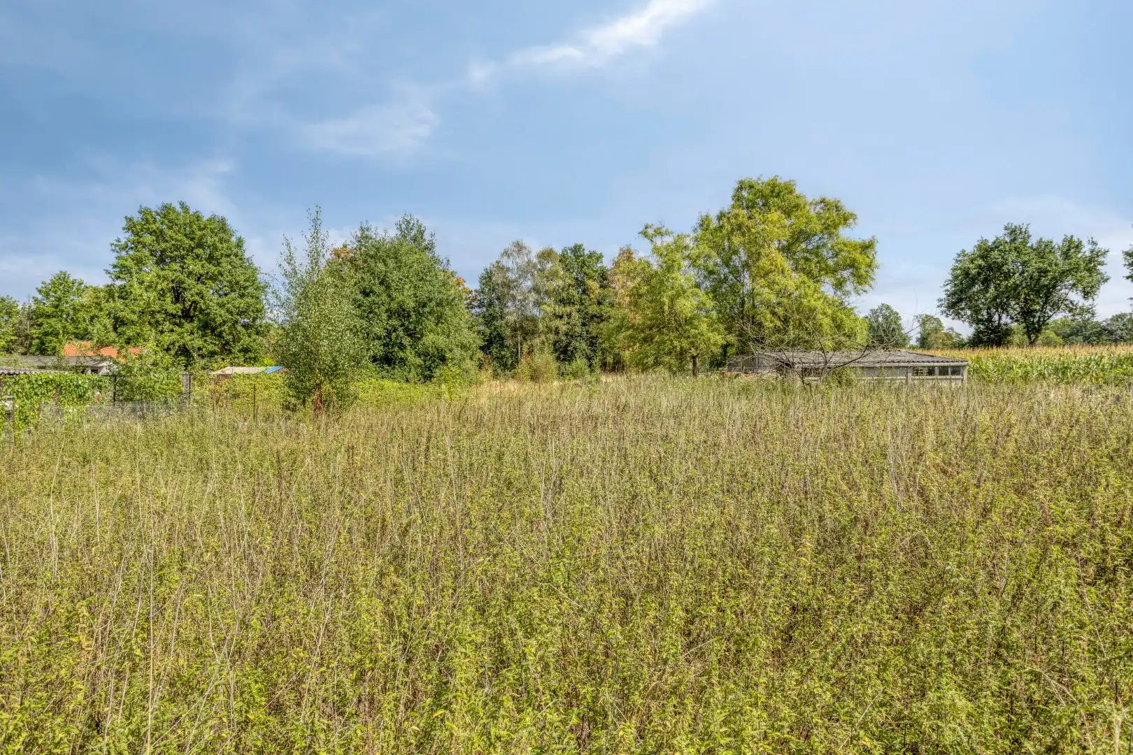 Woning met 3 slaapkamers op 3.363 m², landelijk gelegen te Olen ! foto 32