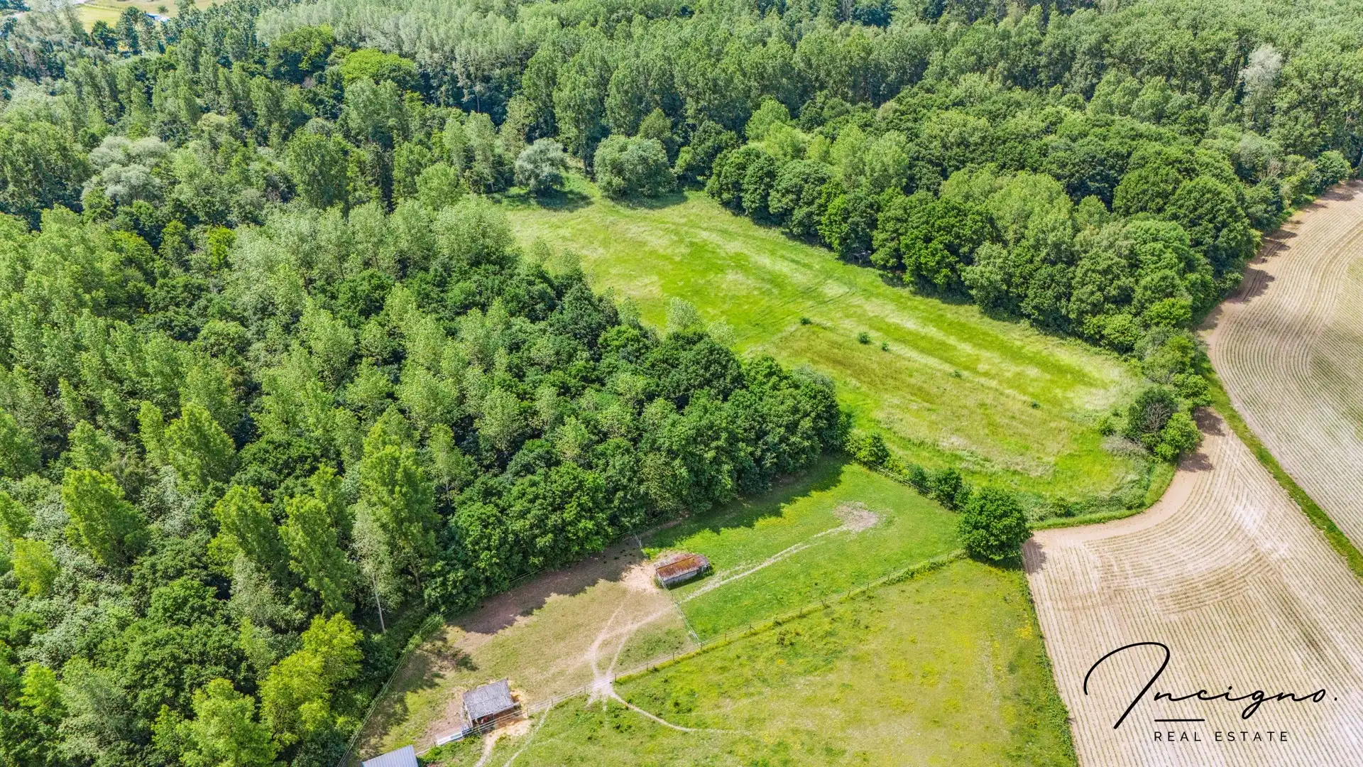 LANDBOUWGROND foto {{pictureIndex}}