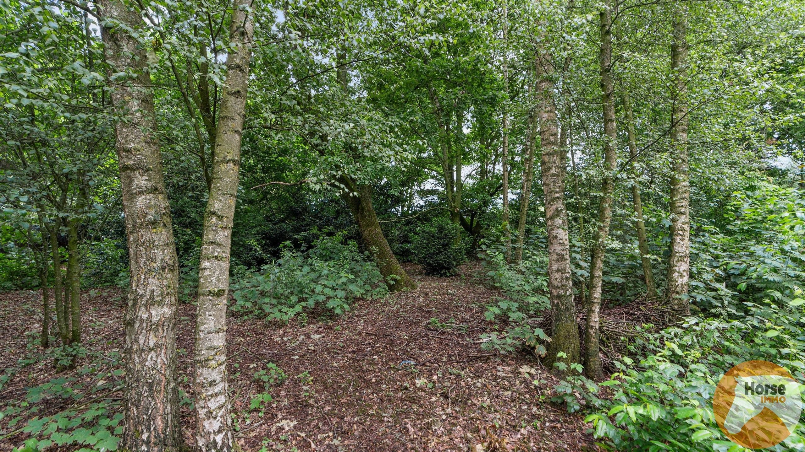 EKSAARDE - Te renoveren woning met oppervlakte bijna 4000m² foto 20
