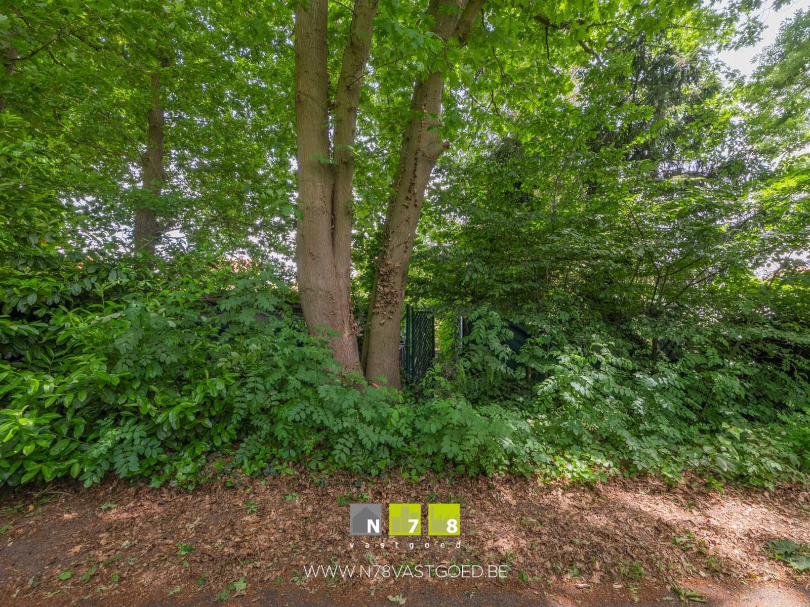 Huis te koop foto 32