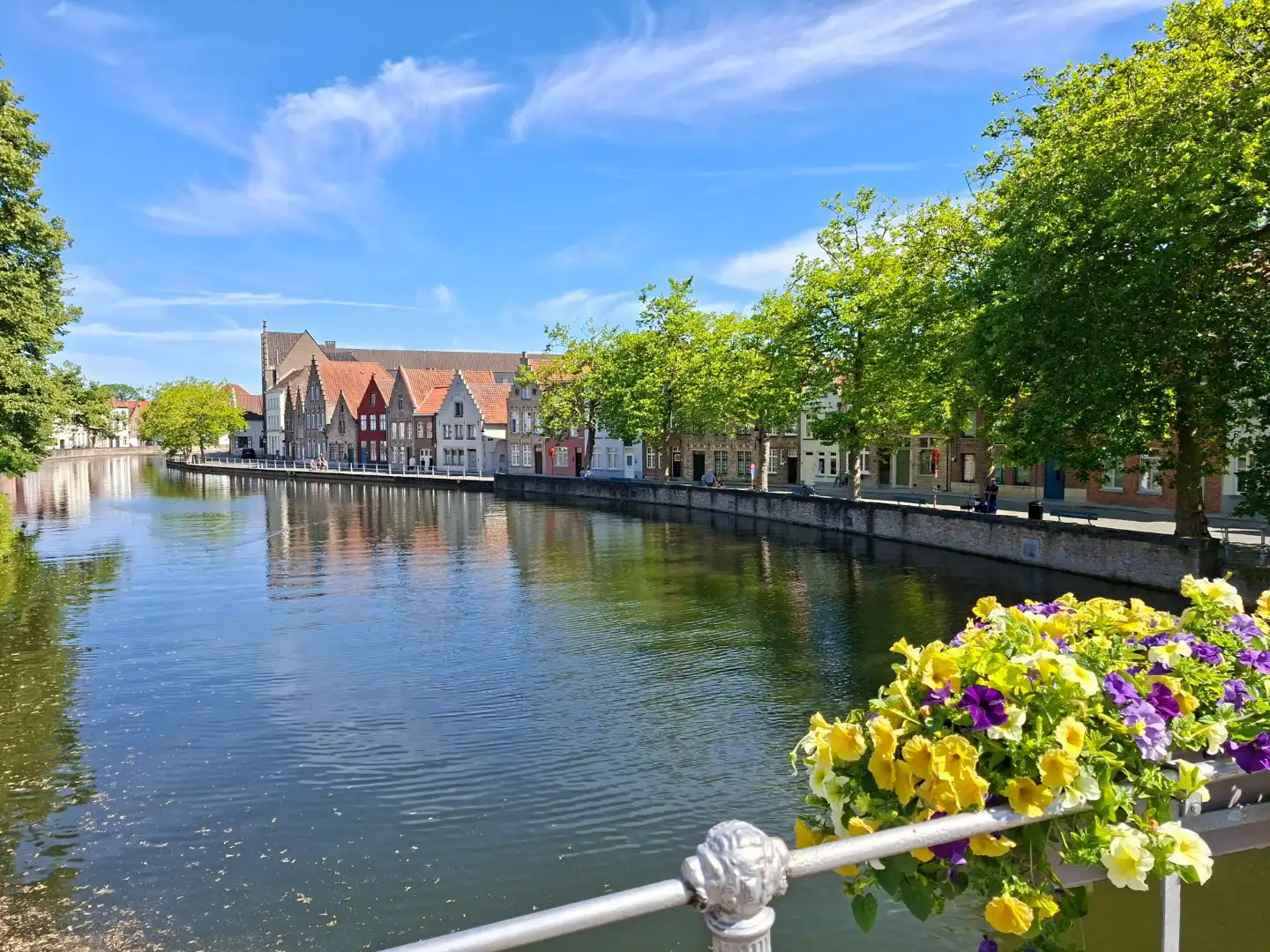 Rustig gelegen stadswoning  foto 10