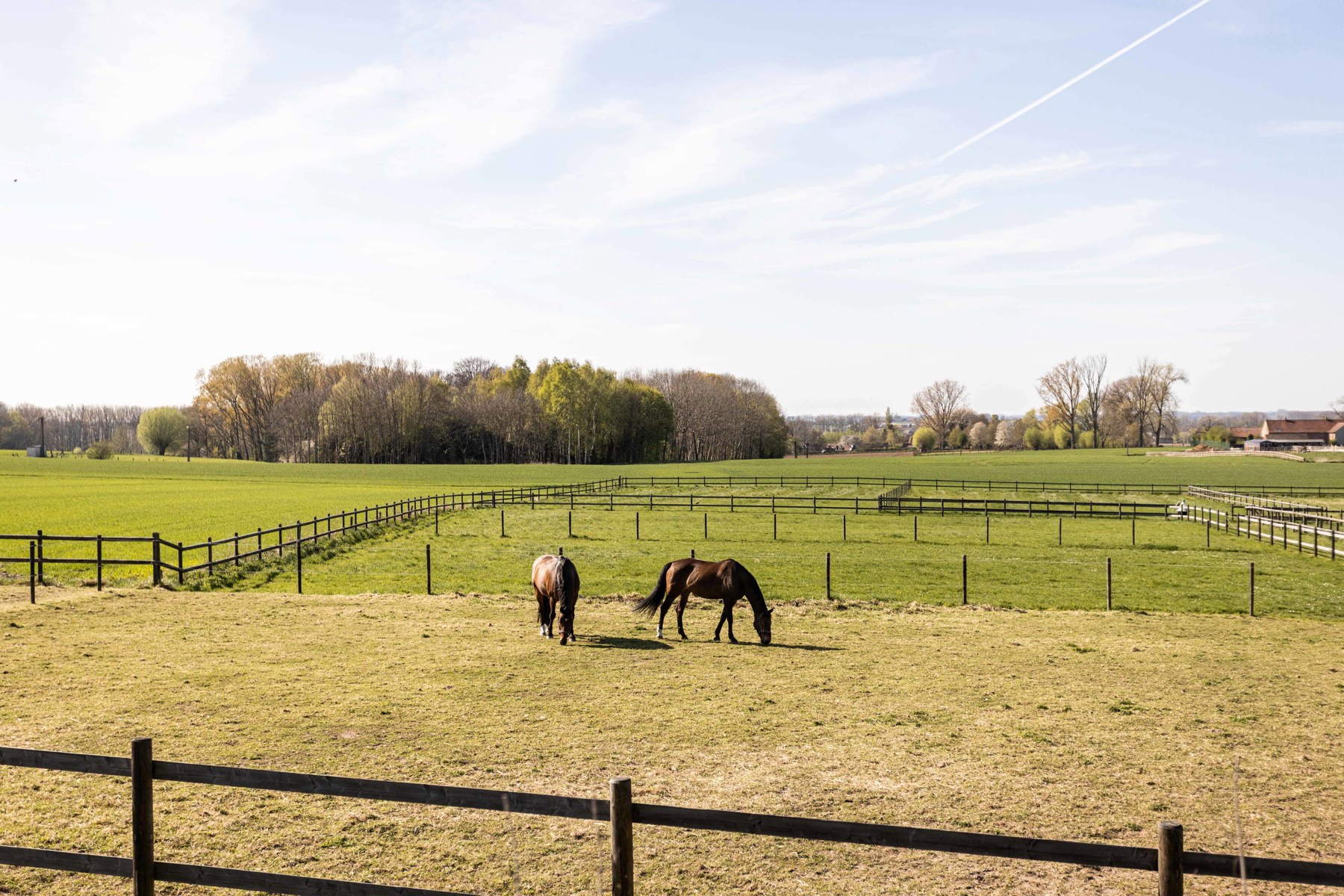 SECRET SALE – Paardenaccommodatie met gerenoveerde woning foto 3