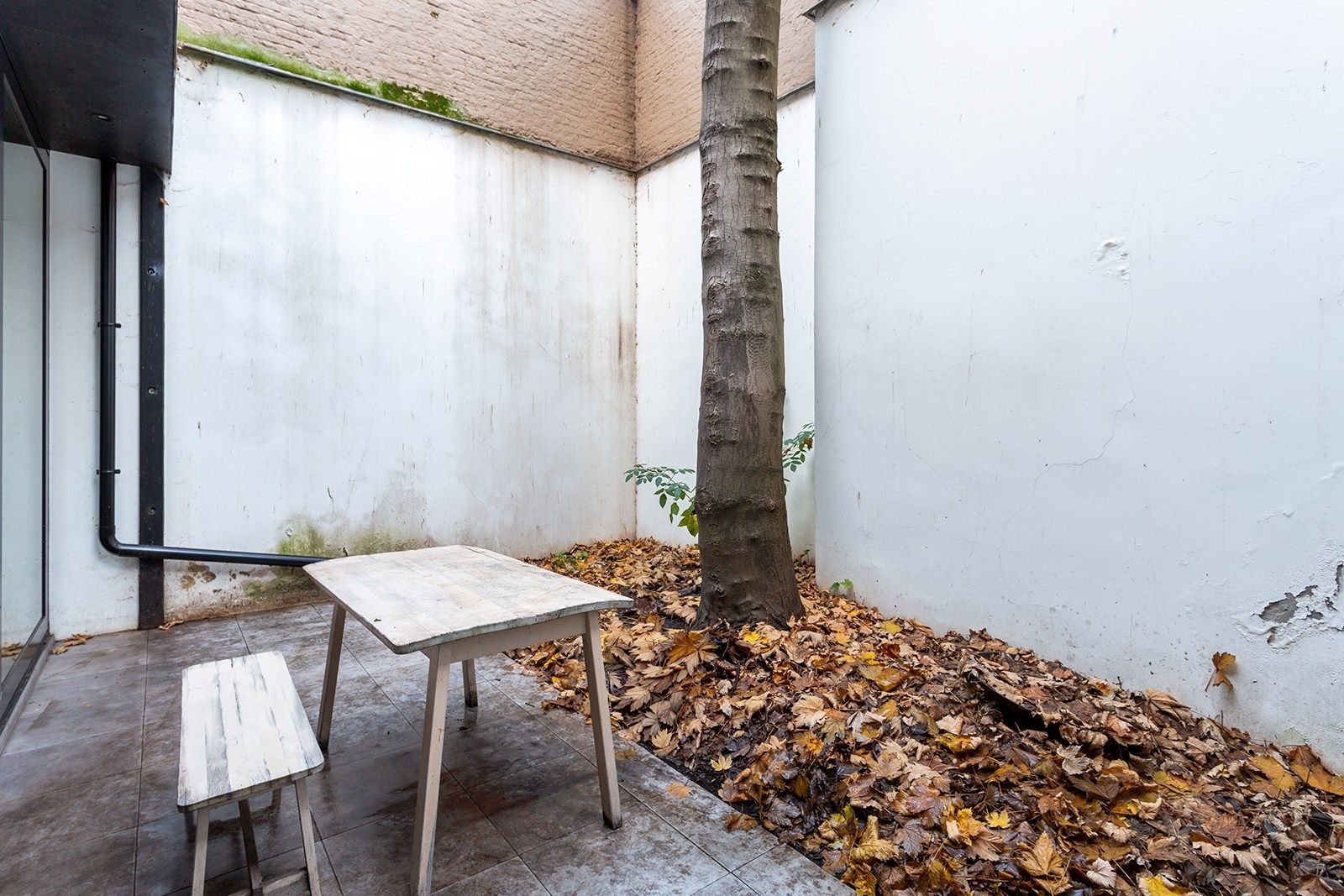 Authentiek & stijlvol wonen met charmante stadskoer  foto 7