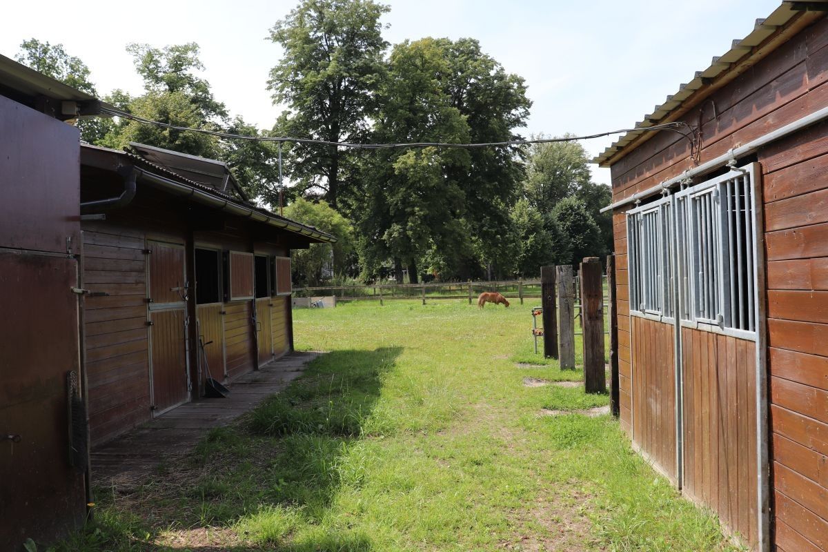 Omheinde weide met paardenstallen te koop te Rotselaar foto 4