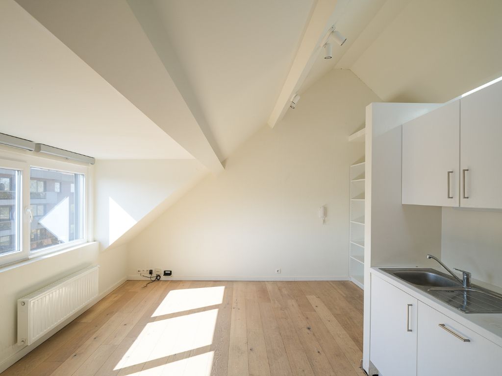 Instapklare studio op wandelafstand van centrum Gent foto 3