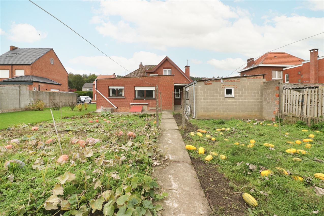 Borsrijk, nabij station, charme en retro foto 4