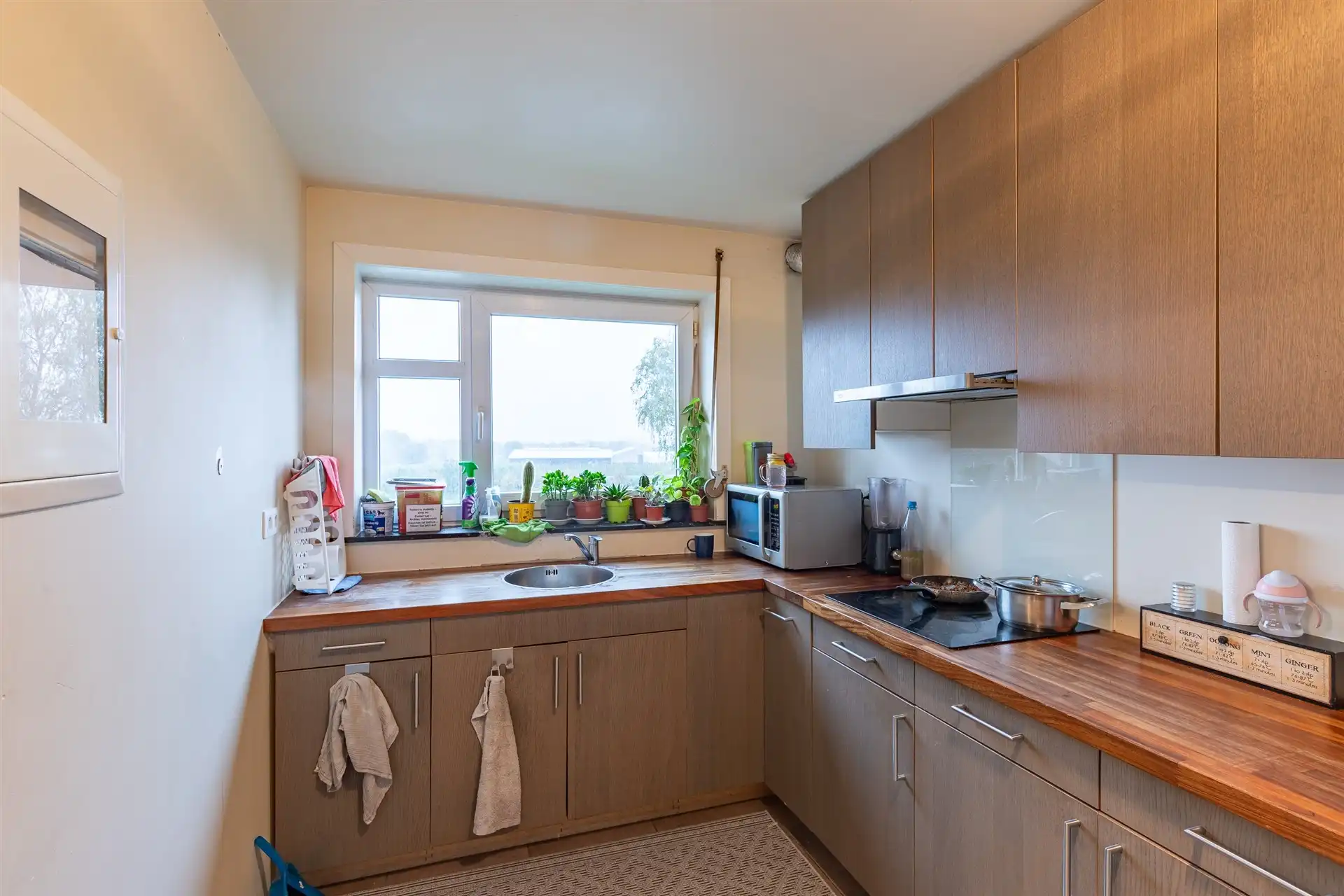 Energiezuinig 2 slaapkamer appartement met garage in Wetteren foto 7