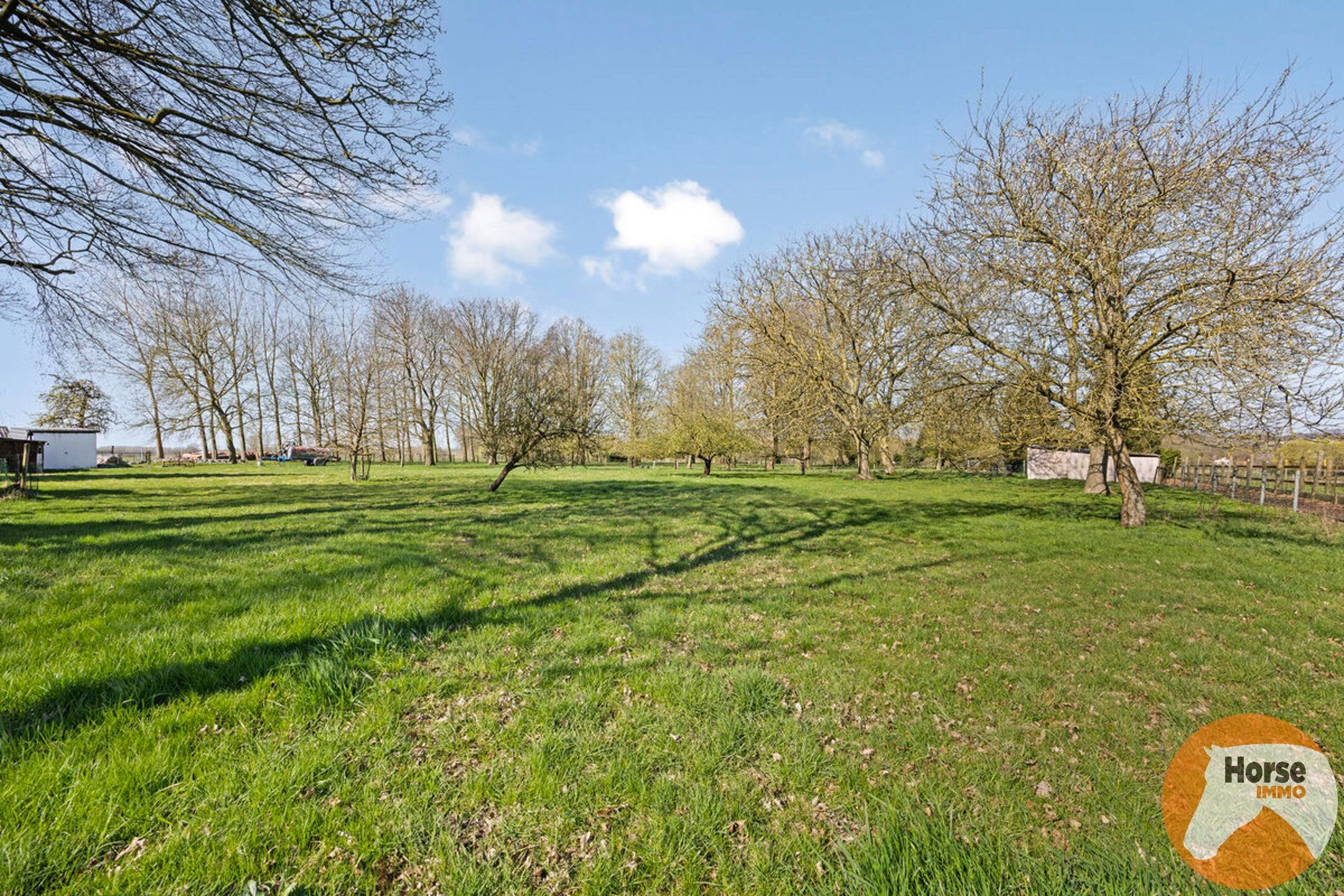 WOUBRECHTEGEM- Karaktervolle renovatiewoning op 1ha 25a 50ca foto 31