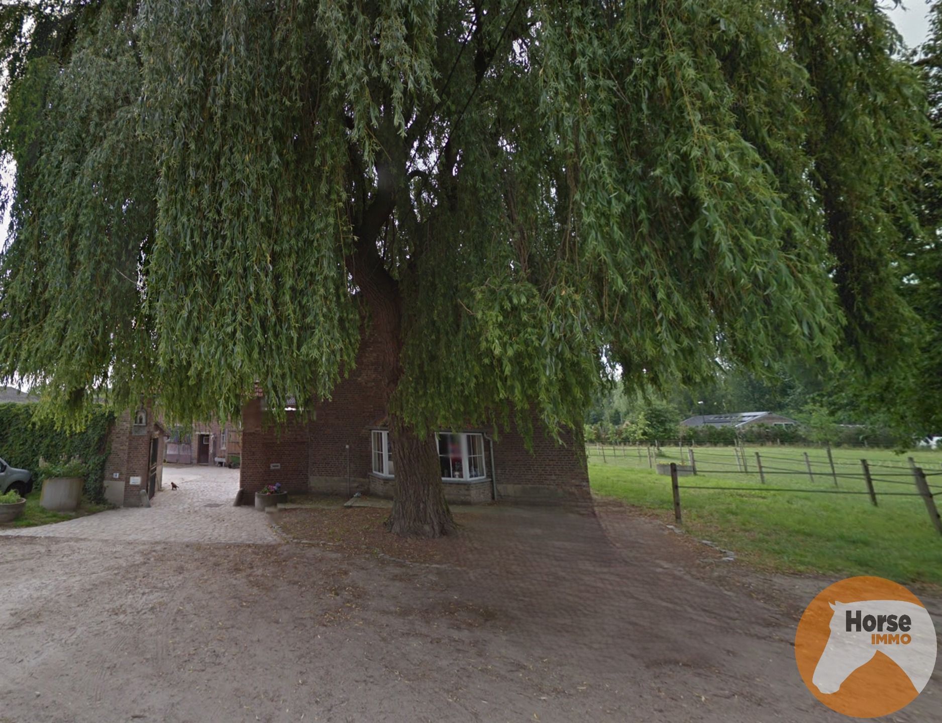 HASSELT (Kortessem) - Manege met veel potentieel! foto 35