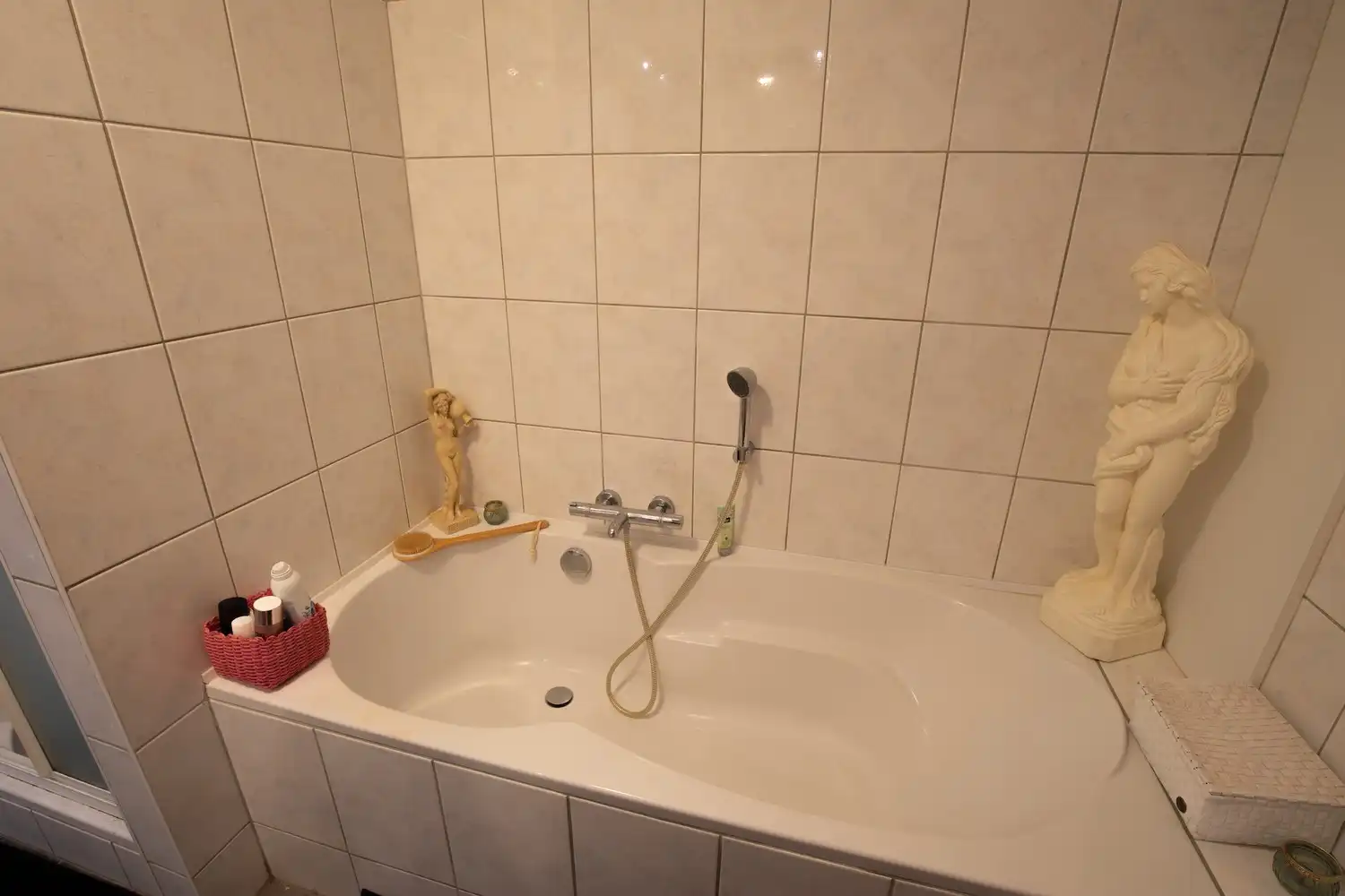 Lichtrijk gelijkvloers appartement met tuin, terras en autostaanplaats in hartje Rillaar foto 7