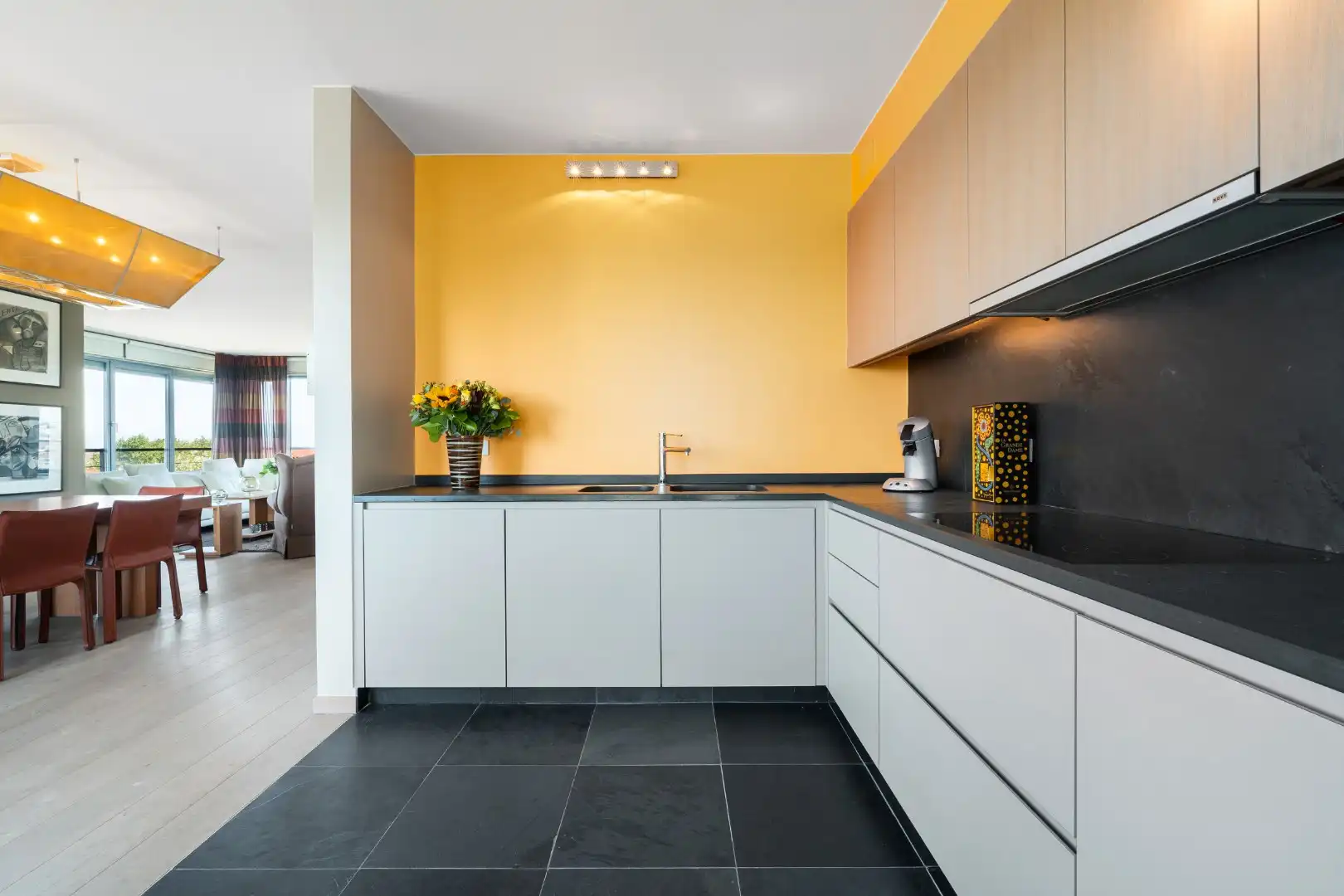 Exclusieve penthouse met zicht op duinen en zee  foto 5