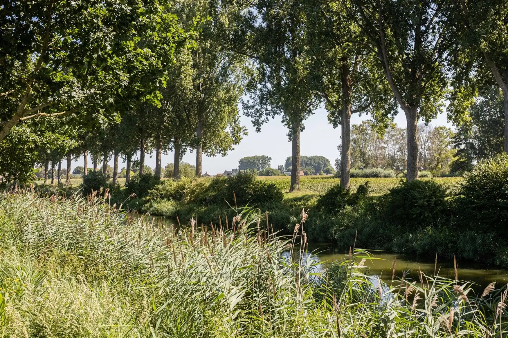 Bouw je droom op een toplocatie... foto 3