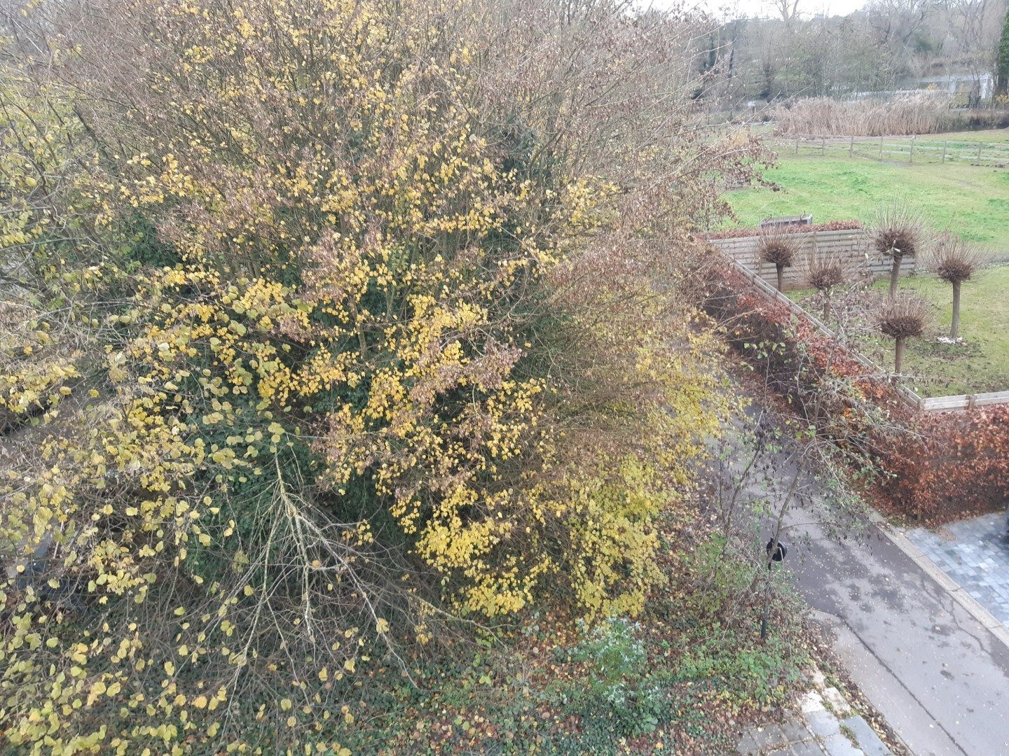 Gezellig 1 slpk-appartement met terras. foto 12