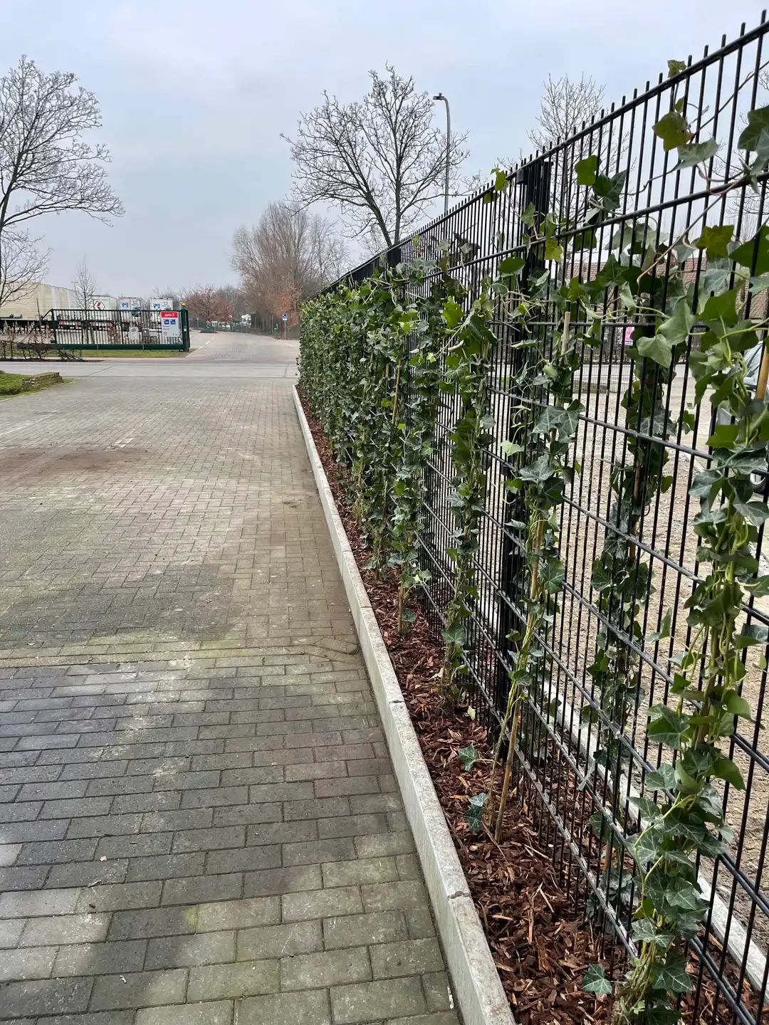 Verhard terrein + kantoor en woonst te koop foto 6