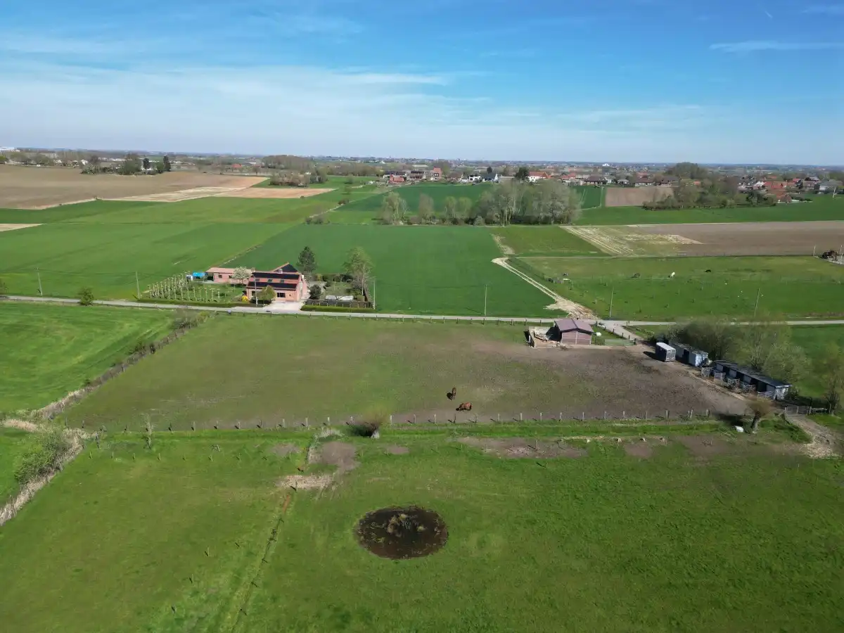 Zonnebeke - Uitgestrekt weiland met vergunde stal en praktische toegang foto 4