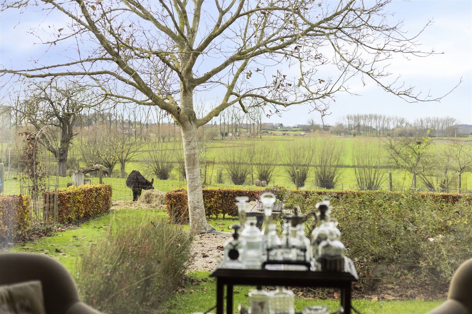 "Het Hof Farsenhove" te koop foto 11