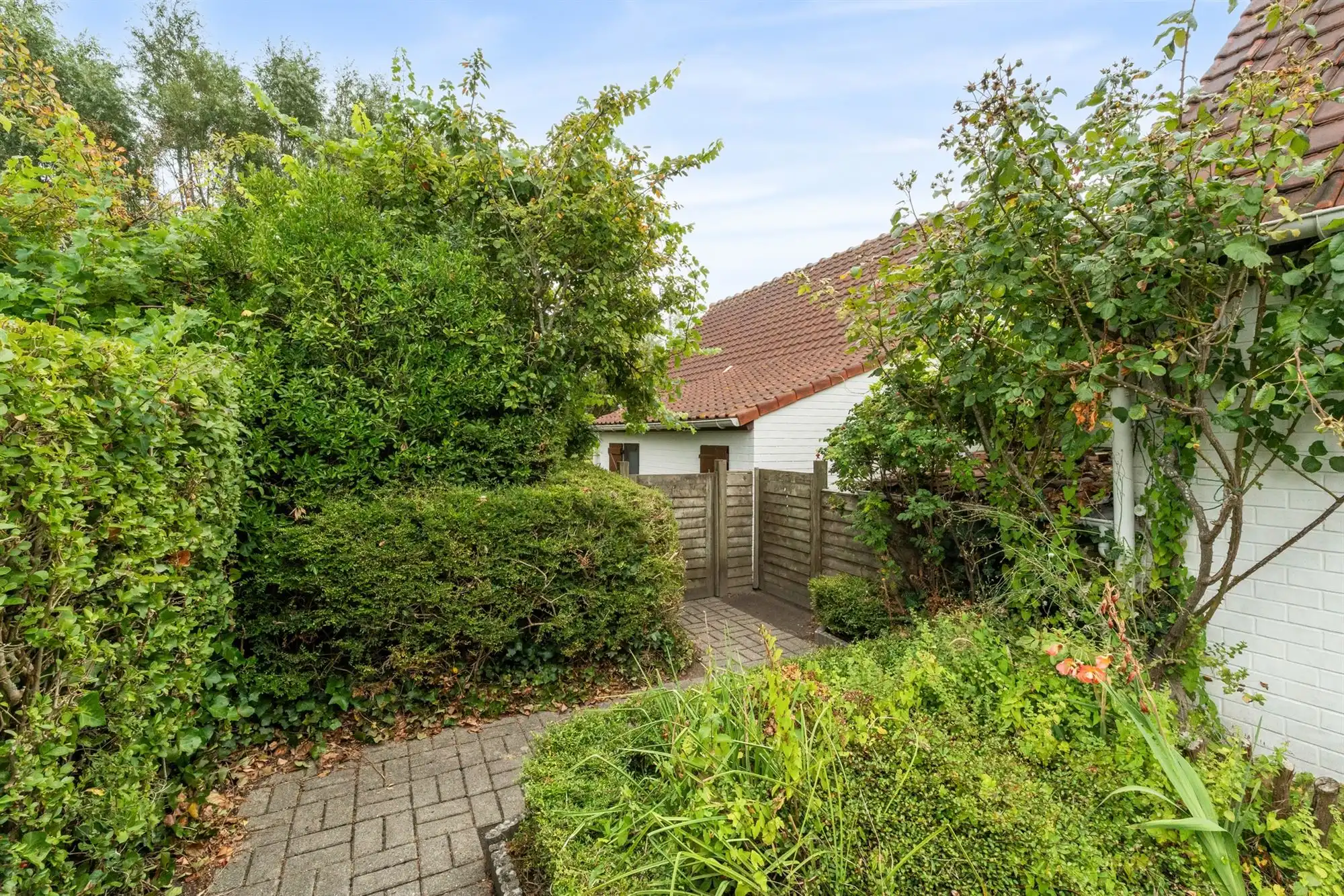instapklare vakantiewoning aan zee! foto 19