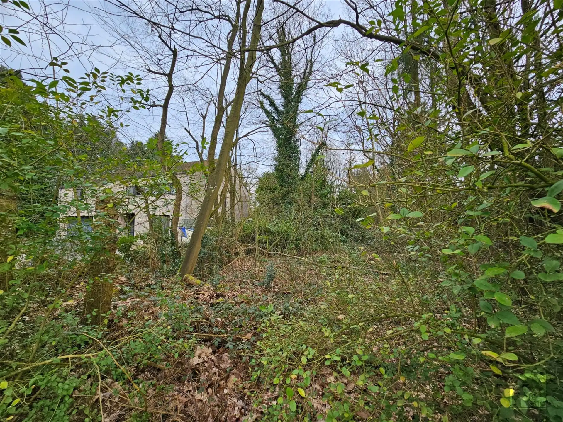 Bouwgrond 1585 m² - St Job foto 5