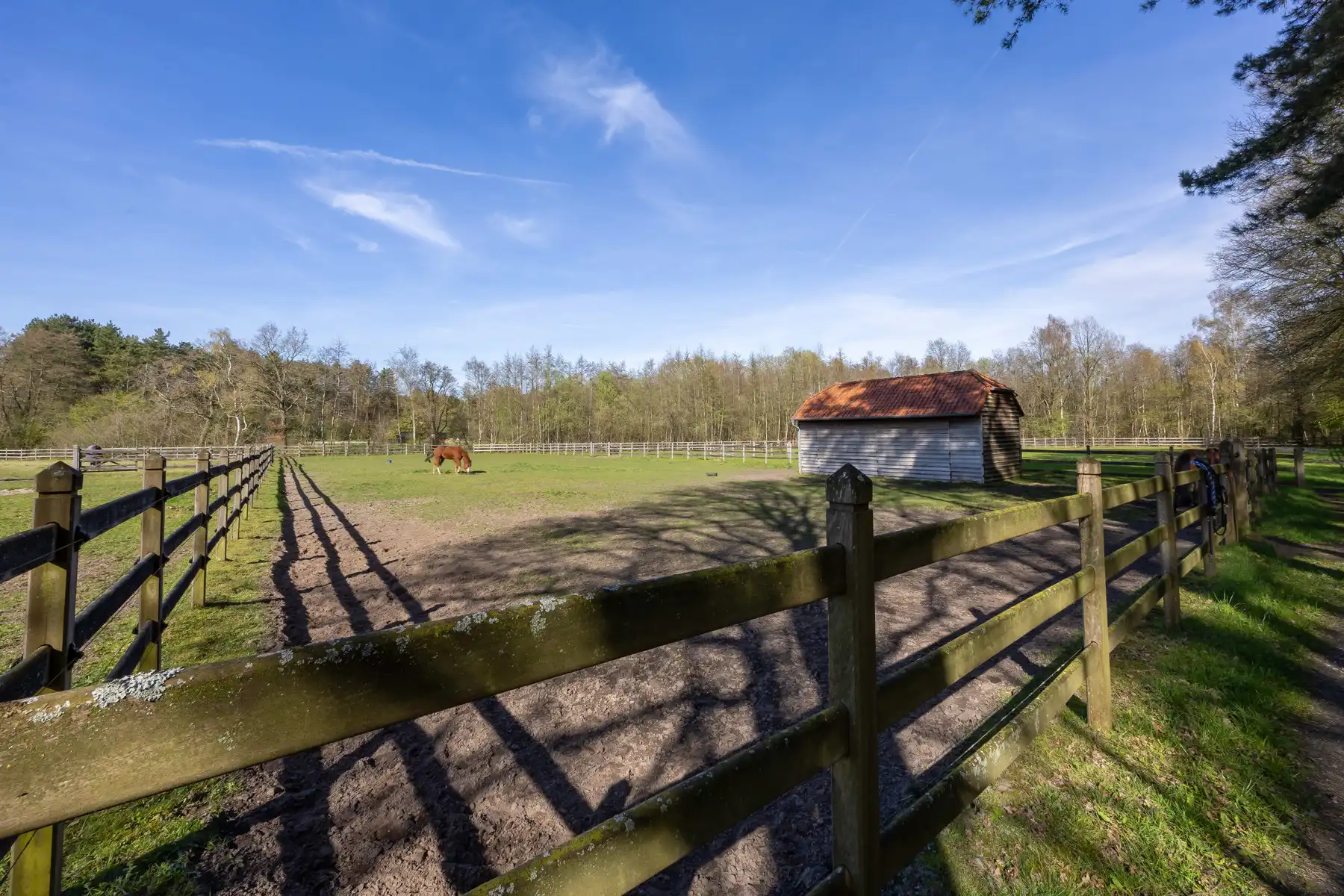 Schitterend domein van 7,7 ha met prachtige villa, zwembad, guesthouse, ruime schuur en uitgebreide paardenfaciliteiten. foto 40