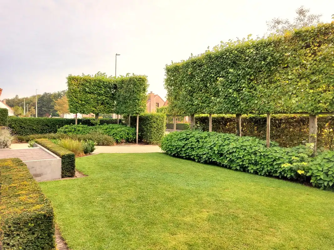Volledig vernieuwde villa op een mooi perceel van ruim 28 are! foto 5