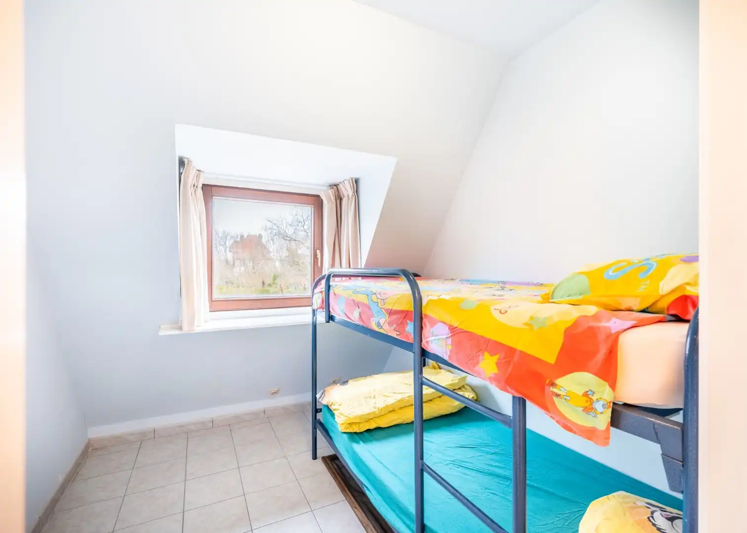 Gerania - 02.04 + P02 foto 11