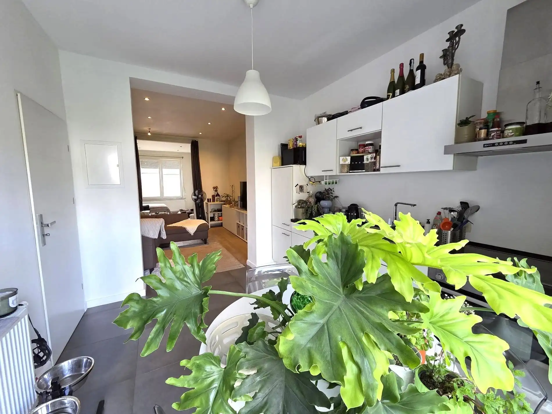Gebouw opgedeeld in 2 appartementen. foto 9