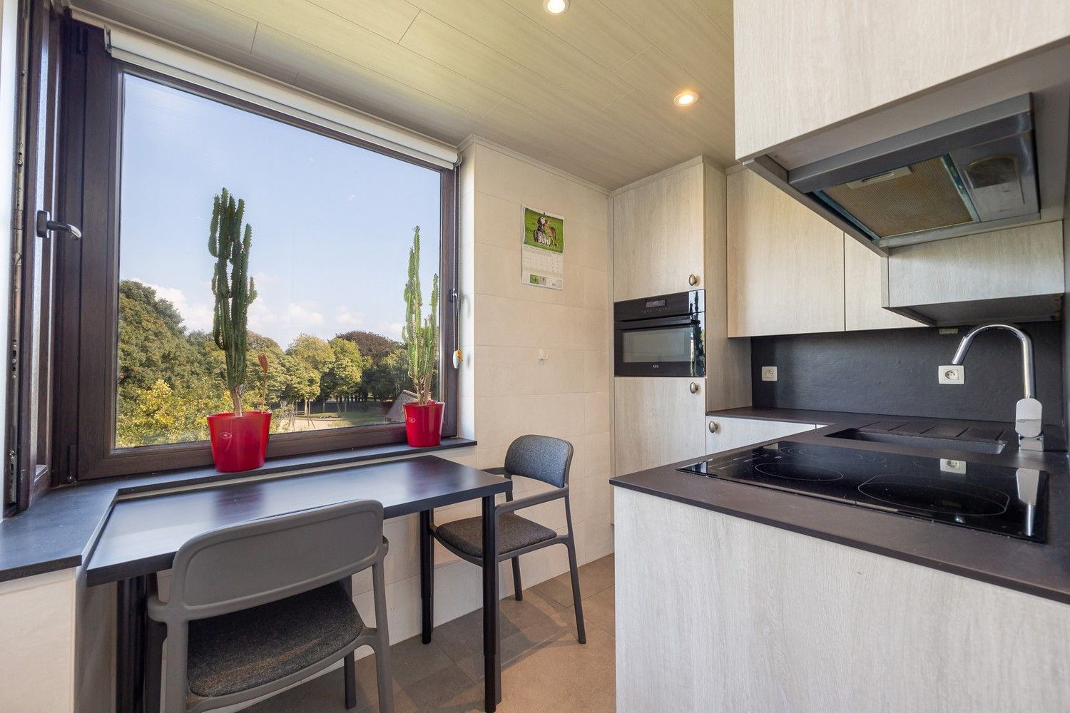 Ruim en lichtrijk appartement met zicht op Kiel Park foto 5