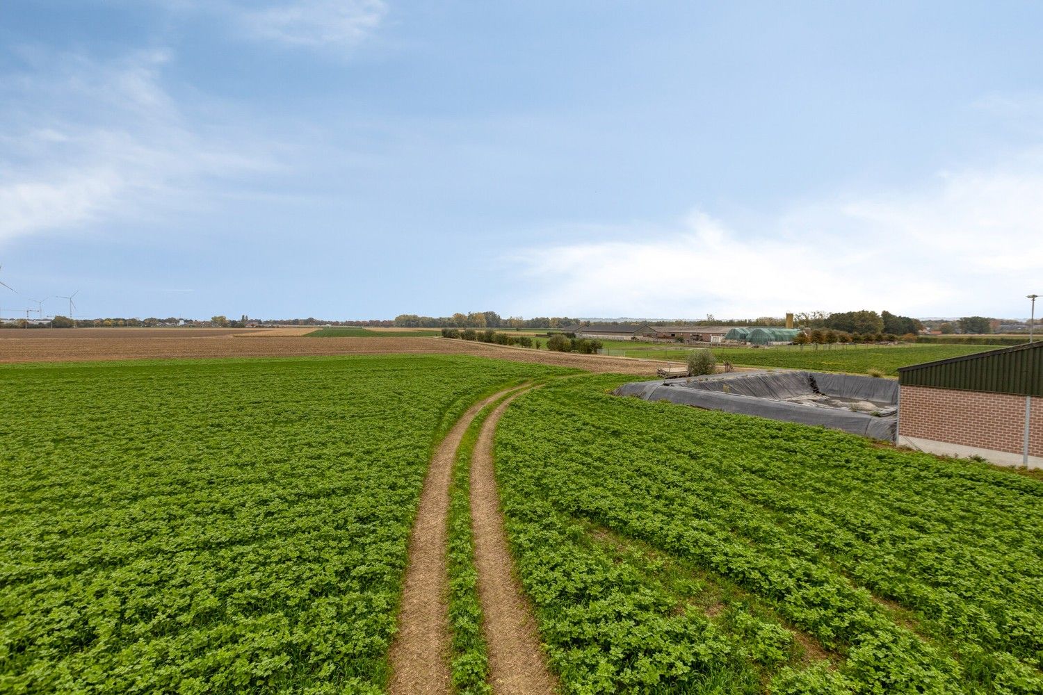 Prachtige boerderij op 1,4 hectare grond in Rekem/Lanaken foto 31