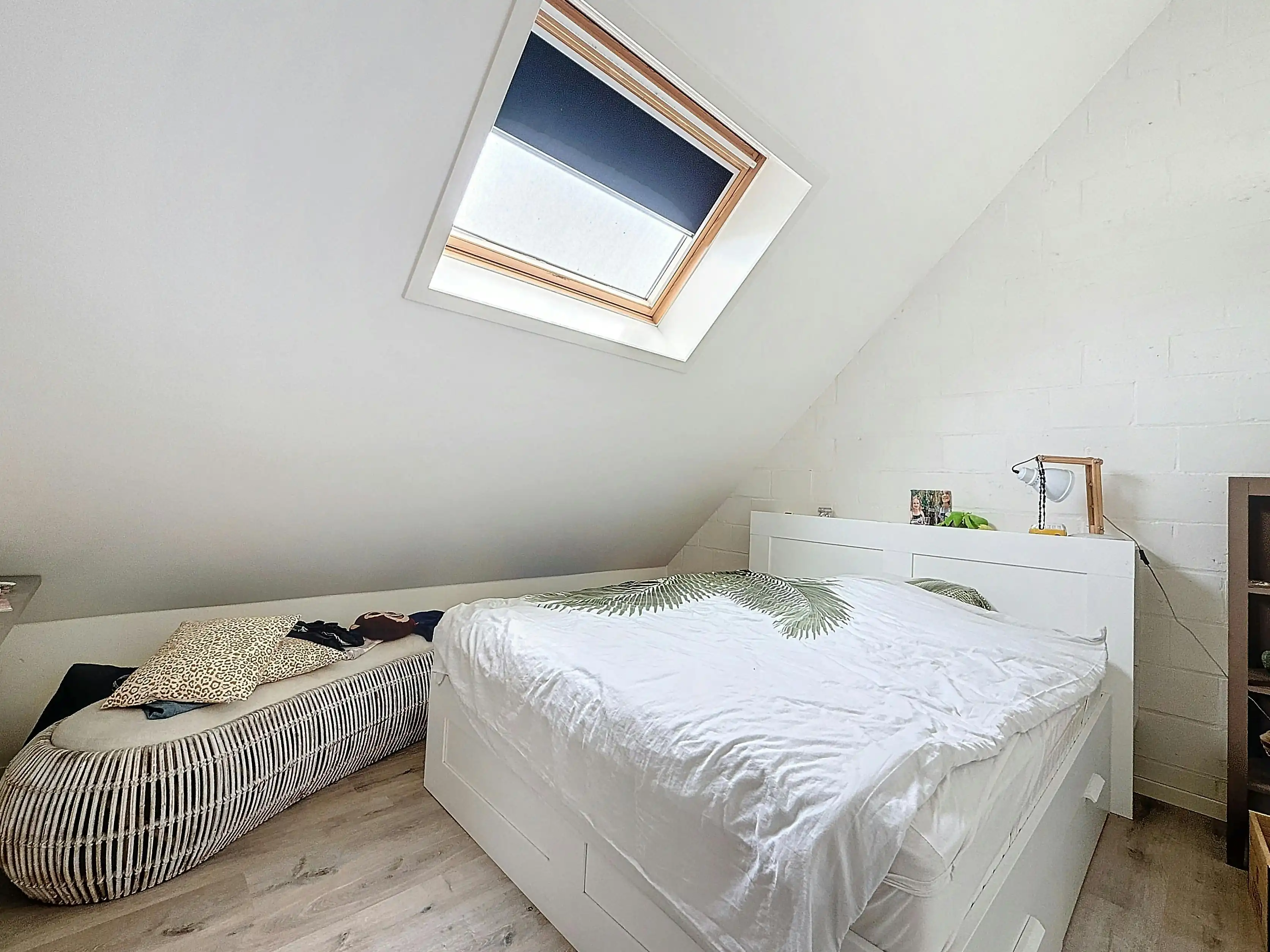 Vastgoedvennootschap te koop in Essen, Antwerpen foto 15