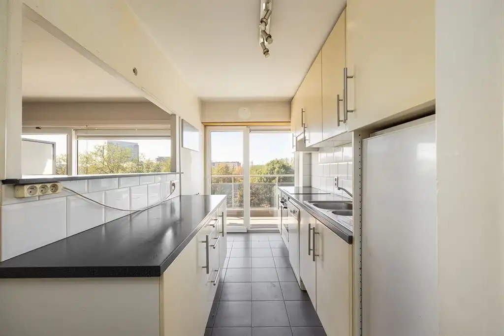 Appartement met 3 slaapkamers en XL-terras  foto 6