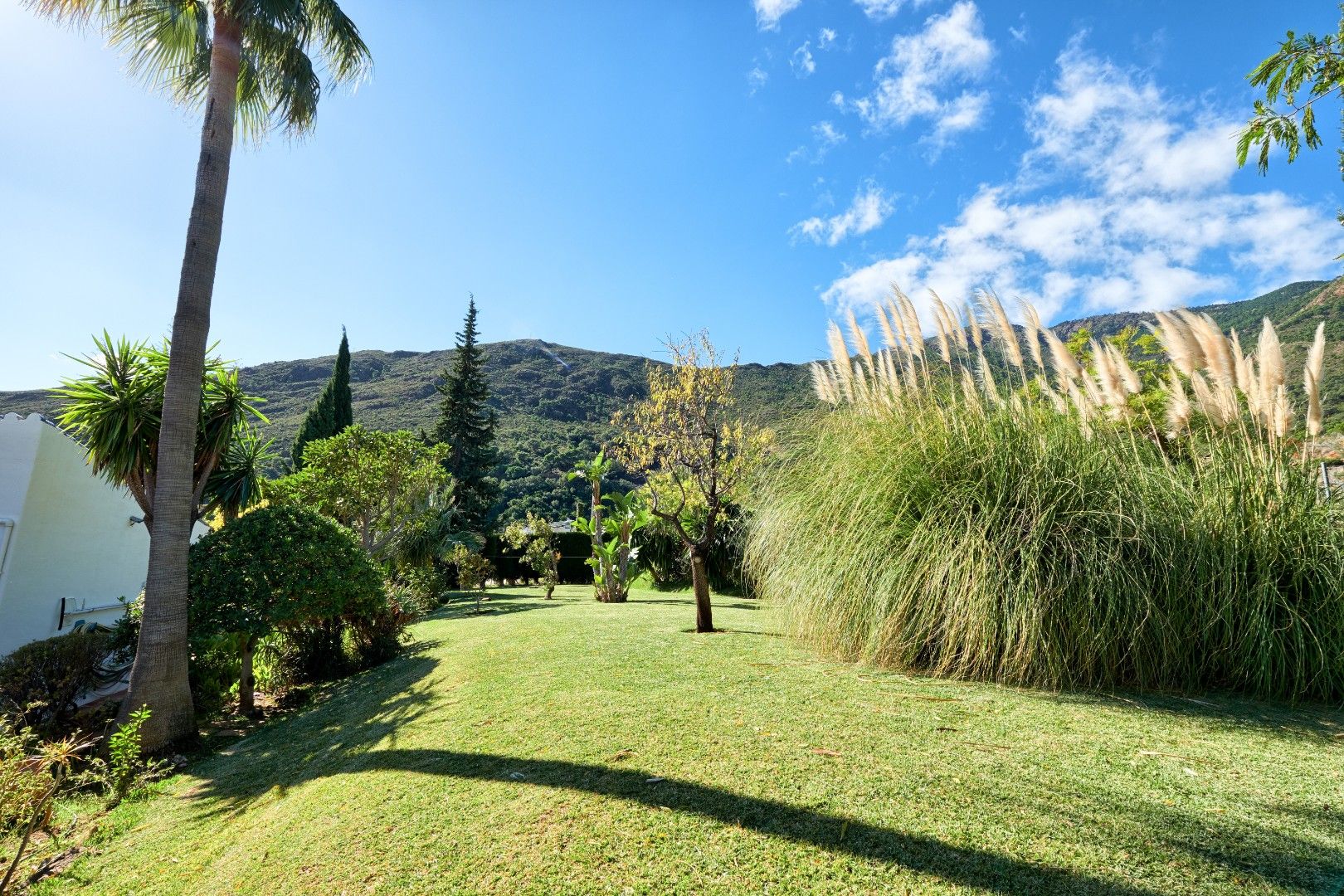 Finca dicht bij de Sierra Bermeja berg.  foto 29