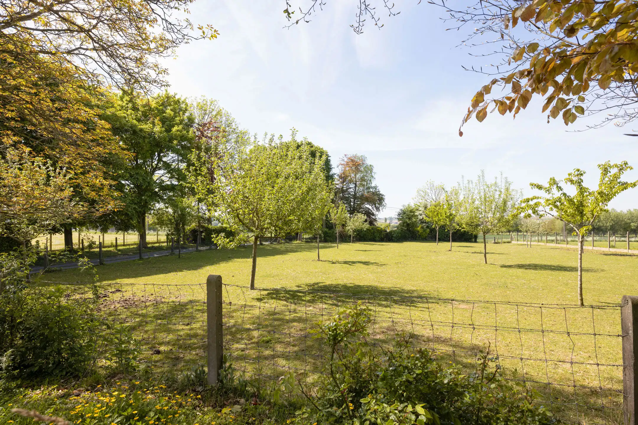 Prachtige villa 5 slpk te midden van de velden op +/- 50a foto 40