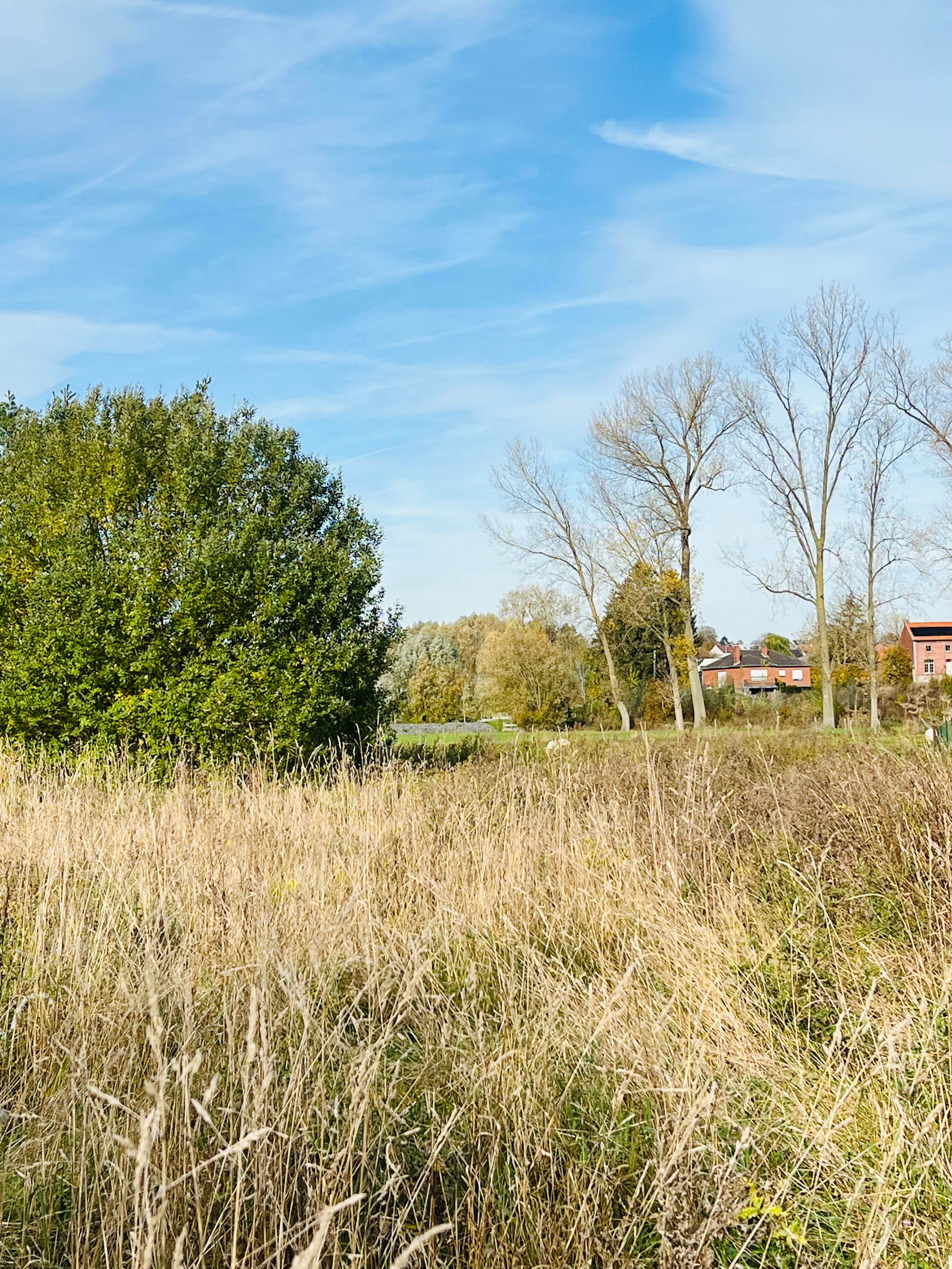 Mooie bouwgrond van 11a92ca voor open bebouwing, met een straatbreedte van 20,80 meter en landelijk uitzicht op de dorpskerk. Geen verkaveling, enkel algemene bouwvoorschriften van toepassing. foto 2
