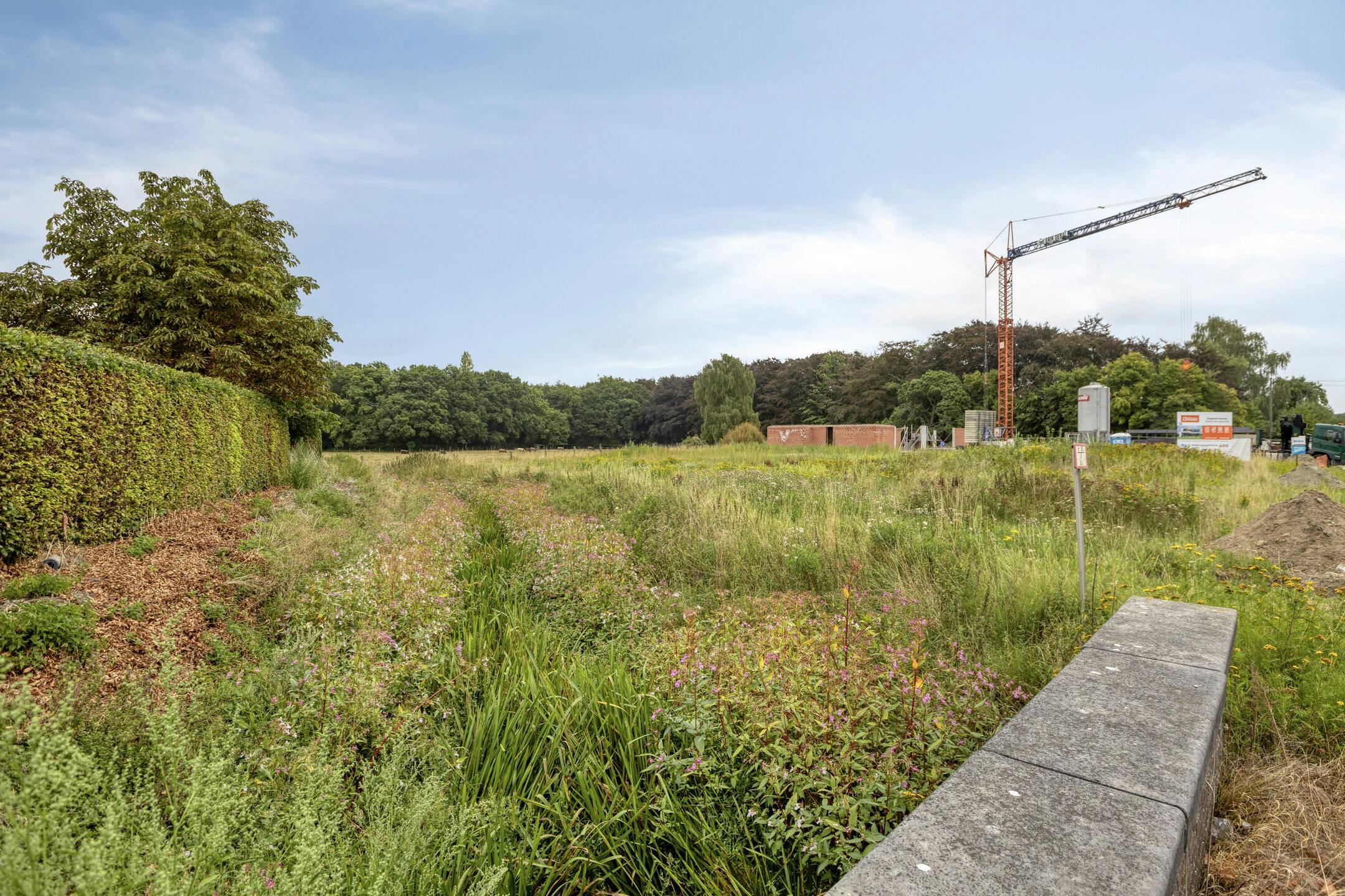 Uniek perceel bouwgrond te koop met zicht op natuurgebied  foto 4