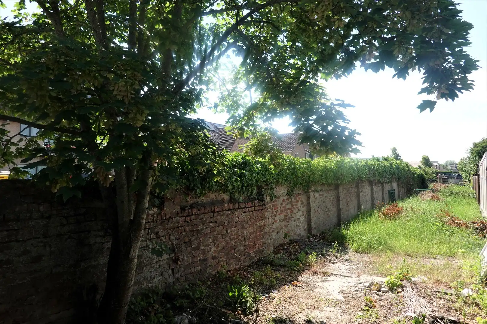 Te huur: gezellige hoekwoning met 2 slaapkamers en  grote tuin foto 3