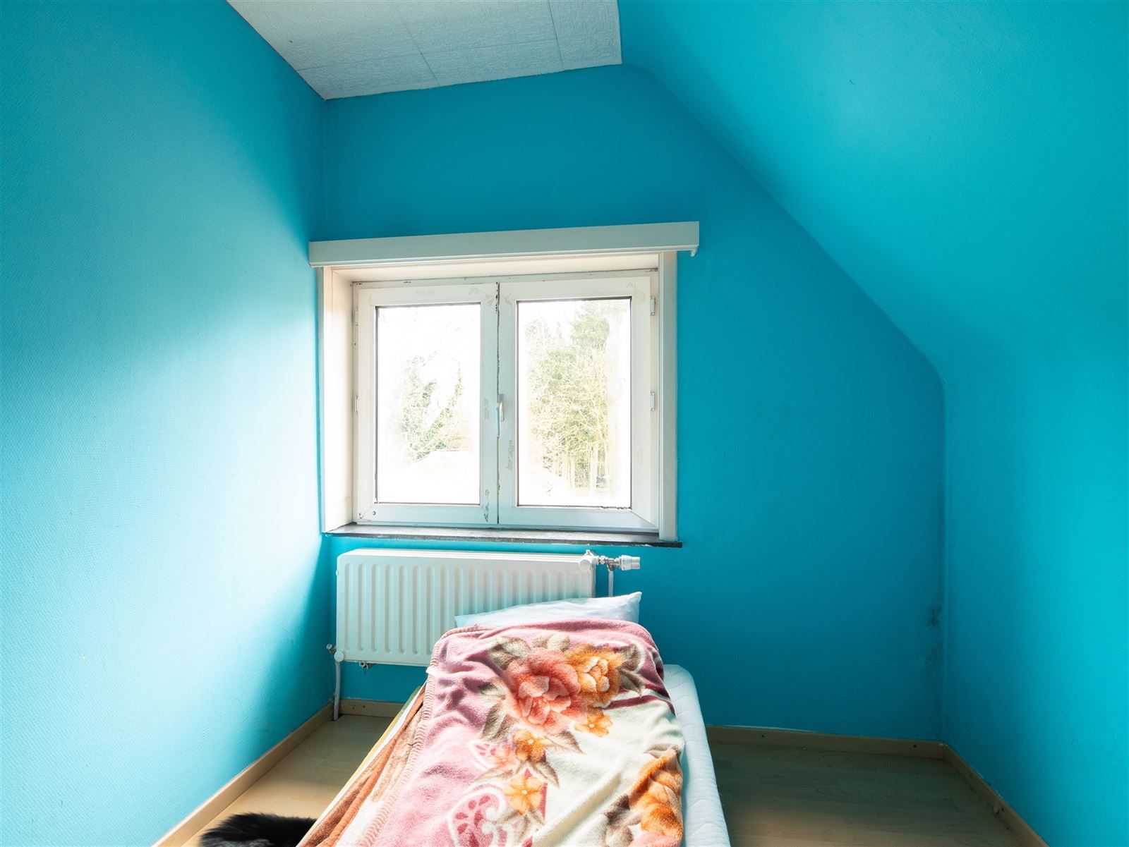 Huis foto 11