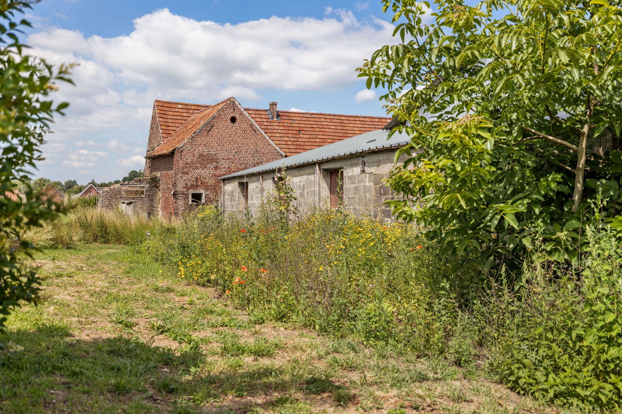 Te renoveren hoeve met schuur, loods en prachtige zichten foto 28