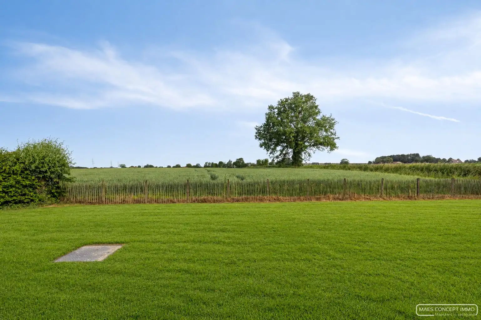 Uitzonderlijk gelegen villa met polyvalent bijgebouw op 3500 m², omringd door groen en landerijen foto 24