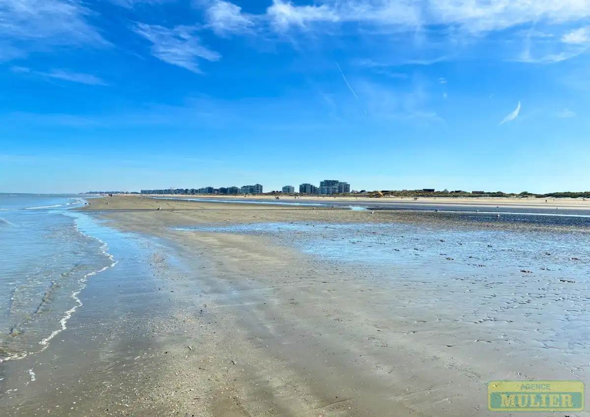 Huis te koop foto 15