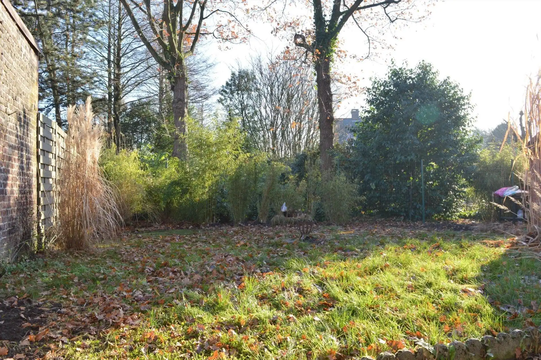 Knusse woning vlakbij centrum Bellegem met 2 slaapkamers en tuin foto 10