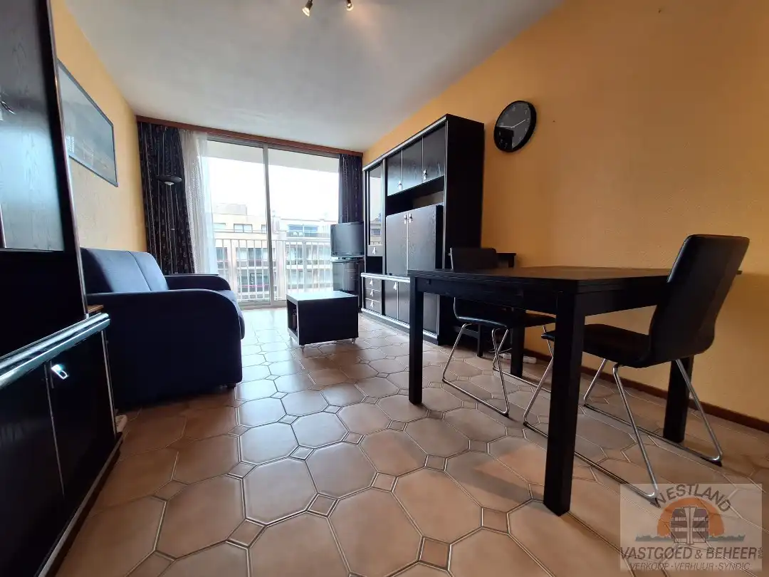 Knusse gemeubelde studio foto 4