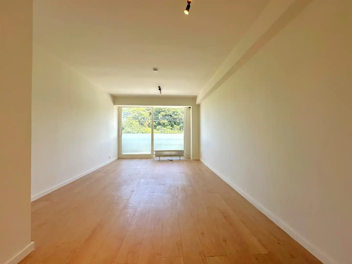 Dakappartement met één slaapkamer foto 2
