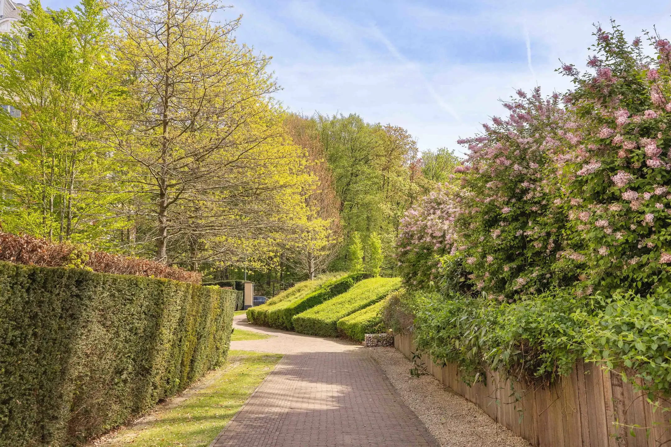 Luxueuze penthouse aan het Ter Kamerenbos foto 35