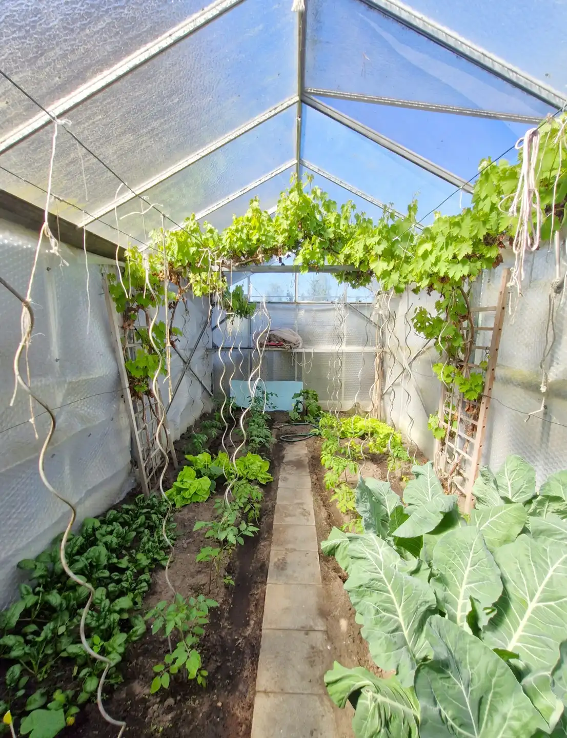 Huis te koop foto 36
