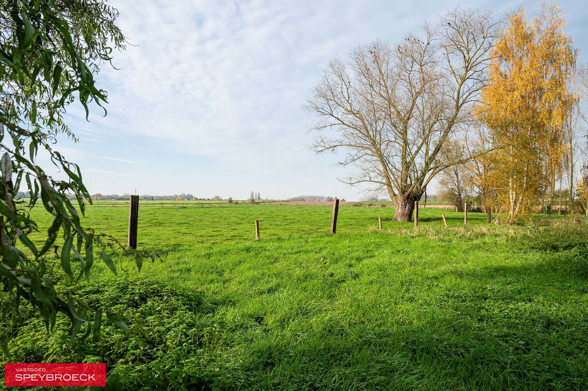 TE KOOP IN DIKKELVENNE foto 12