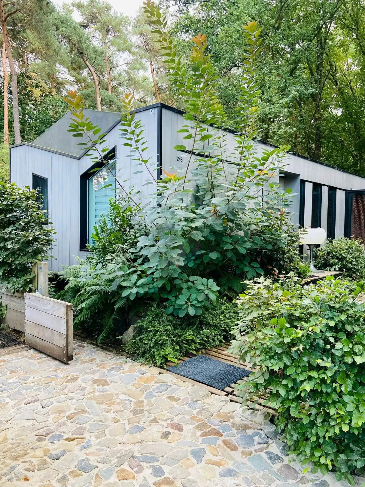 Charmant chalet 55 m² op familiecamping Goolderheide foto 12