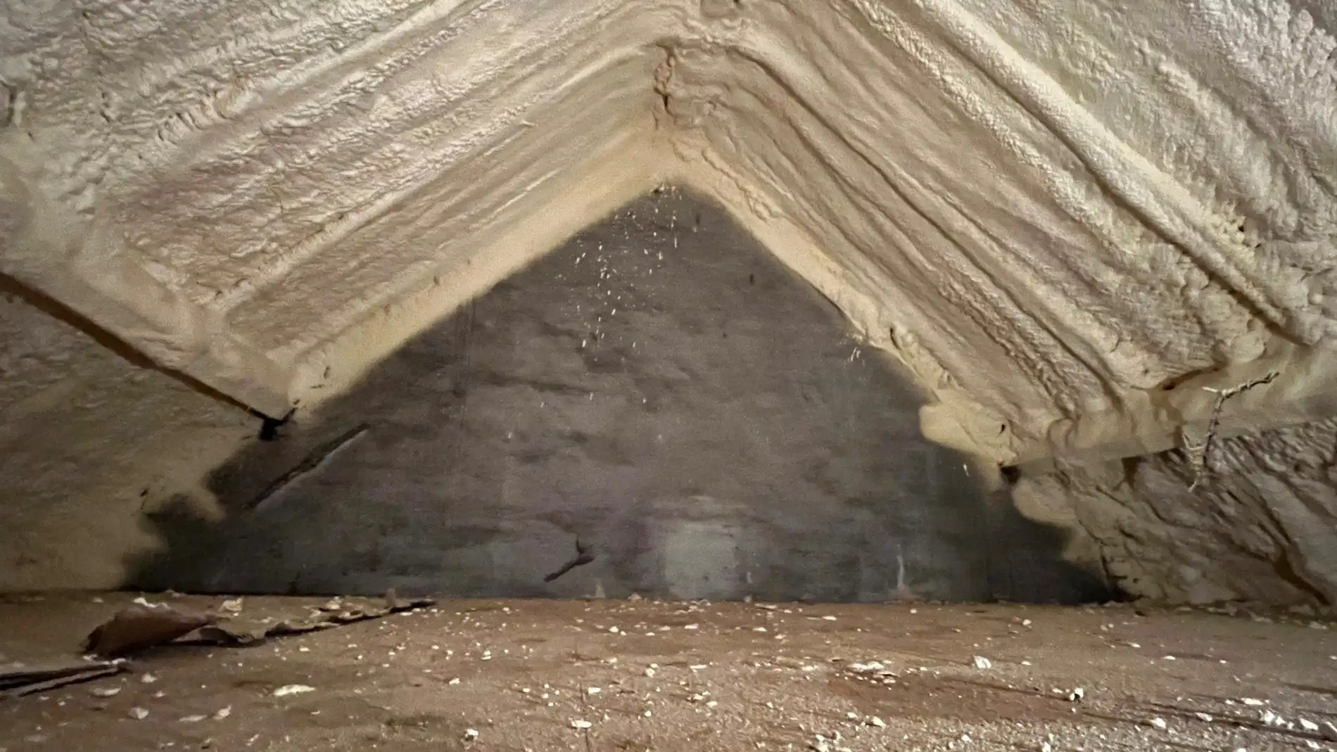 Ruime woning met 3 kamers, kelder en een stadstuin foto 14