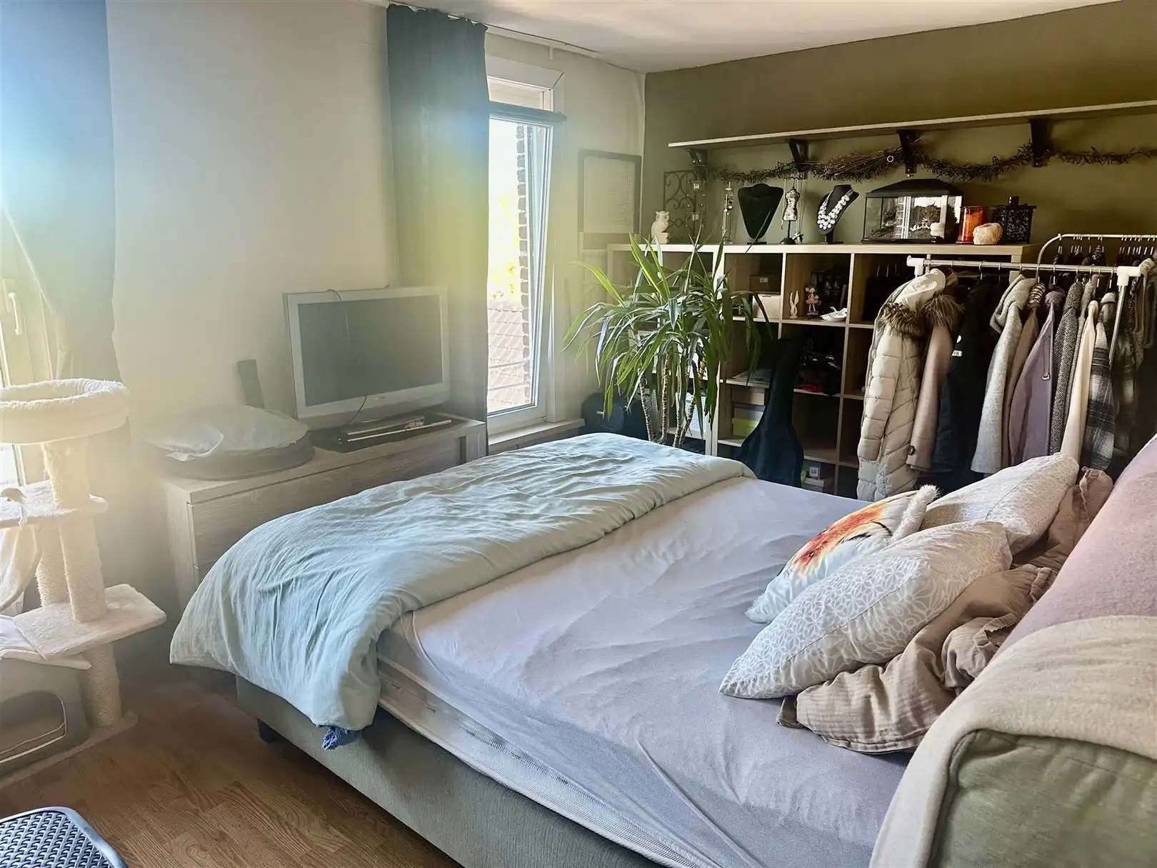 Gezellige woning met 2 slaapkamers te huur in Kruisem  foto 6