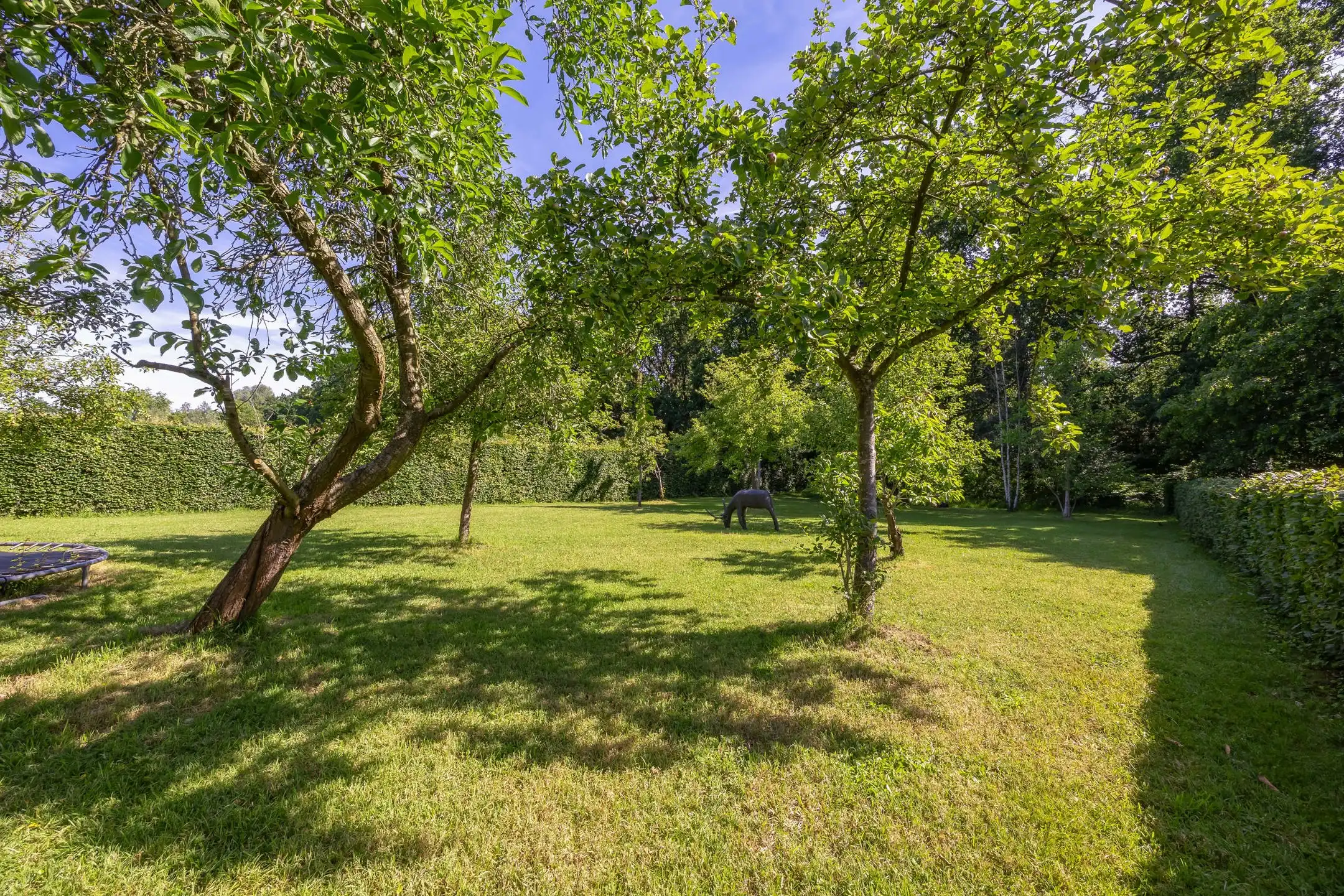 Rustig gelegen villa met prachtige tuin en zwemvijver foto 39
